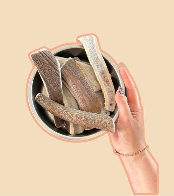 Bois de Cerf fendu M, 40 - 80gr