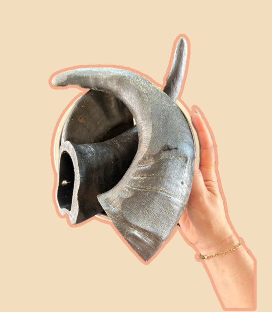 Corne de Buffle L, 300 - 400gr