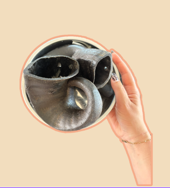 Corne de Buffle M, 150 - 300gr